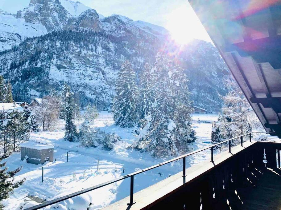 Apartment Unique Penthouse With Gallery And Mountain View Kandersteg
